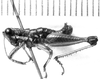 CollectionObject 1521513; da12cd07-aad8-4124-86cf-00af30a1d623: Image Carbonell, C.S. male, lateral view (holotype). (CollectionObject).