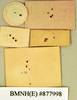 Periplaneta banksi Hanitsch, 1931: Holotype, female, labels, reverse. BMNH(E)#877998. (Otu).