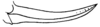 CollectionObject 1522320; 1ebec1da-1cf0-4342-ac5a-1a98d300d40a: Pl. 21, Fig. 4 (after type). ovipositor (length 16 mm). (CollectionObject).