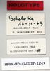 CollectionObject 1540597; 3e7d6a7e-009f-453a-88c6-d41817af19e5: male, labels (holotype). (CollectionObject).