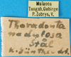 CollectionObject 1501972; a252b47d-ebbb-4683-8e0a-ecfd26b511ff: labels. (CollectionObject).