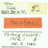 labels (syntype). Depicts CollectionObject 1586198; 1e5592f7-5e1b-49e6-b767-c44a165d7ed8, a CollectionObject.