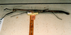 CollectionObject 1557760; a509679b-7b31-4c43-82de-e2168a482862: copyright RBINS Brussels. female, lateral view (syntype). (CollectionObject).