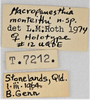 CollectionObject 1618727; f214703f-c00b-4387-996c-7fdfd558e556: (CollectionObject).