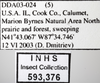 Other: !! display not done !! on Balclutha abdominalis (Van Duzee, 1892): Labels for the color viation specimen. (Observation).