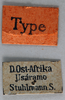 CollectionObject 1501069; 666ab749-683c-4037-b7df-8b85c90da1b5: labels (holotype). (CollectionObject).