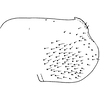Pygofer, lateral view on Eurhadina (Eurhadina) ribauti Wagner, 1935: Pygofer, lateral view. (Observation).