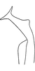 Stylus: Stylus. (Observation).