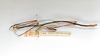 CollectionObject 1563644; bf4fb633-e160-4a75-8af5-4470422558e5: copyright ETHZ. male of synonym Dixippus appetens (paralectotype). (CollectionObject).