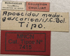CollectionObject 1535035; 58a6da7f-880e-49a7-873f-36a8f0ccbd8f: labels (holotype). (CollectionObject).