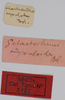 CollectionObject 1479296; 71ed71c8-ff6d-4d20-b958-4d19e8bc4e18: labels (syntype). (CollectionObject).