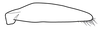 Subgenital plate, ventral view on Coarctana taurina Domahovski & Cavichioli, 2023: Male holotype [DZUP]: subgenital plate, ventral view. (Observation).