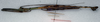 CollectionObject 1557057; 107239b8-b88b-4108-83c7-ca46905e4a13: copyright NMW, Vienna. male, lateral view of Anisacantha difformis (syntype). (CollectionObject).;CollectionObject 1557058; e8196f2e-238e-45d5-a478-6ee313b068d0: copyright NMW, Vienna. male, lateral view of Anisacantha difformis (syntype). (CollectionObject).
