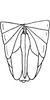 Ovipositor Depicts Ovipositor, an Observation.