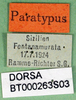 CollectionObject 1502861; 886f2750-033c-4fc5-afc9-c3f70633abff: labels (paratype). (CollectionObject).