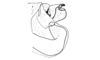 Bogotacris varicolor (Stål, 1878): Fig. 77. aedeagus, lateral view. (Otu).