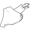 Pygofer, lateral view on Asymmetrasca baluchi (Ahmed, Samad & Naheed, 1981): Pygofer, lateral view. (Observation).
