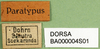 CollectionObject 1501264; b39b2aab-fa63-49b1-afe2-e97f36acea28: labels (holotype). (CollectionObject).