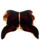 Forewing: !! display not done !! on Cuerna alta Oman & Beamer, 1944: Female internal sternum VIII. Female allotype, U.S.A., New Mexico, Cloudcroft, KSEM. (Observation).