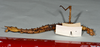 CollectionObject 1556966; a89197eb-23aa-4902-b0f8-bc0103067a78: copyright CMNZ, Christchurch. female of synonym Acanthoxyla suteri, ventral view (syntype). (CollectionObject).