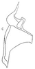 Stylus: !! display not done !! on Frequenamia spiniventris (Linnavuori, 1955): Stylus. (Observation).