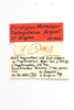 CollectionObject 1589246; 1b3597a8-5a2c-485d-ab50-e2d03662763a: labels (paratype). (CollectionObject).