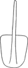 Aedeagus, ventral view: Aedeagus, ventral view. (Observation).