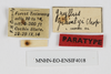 CollectionObject 1587000; 4b408b4e-bd72-4931-b80e-e276417f4fb9: labels (syntype). (CollectionObject).