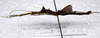 CollectionObject 1584558; 41accb10-9afb-4abb-8bba-1a239c2a45da: (CollectionObject).