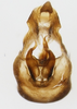 Pygofer, posterior view: !! display not done !! on Stenocranus (Codex) lautus Van Duzee, 1897: (Observation).