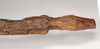 CollectionObject 1561531; NHMUK(SF IMPORT DUPLICATE) 844938, 8e2e757a-dc43-4936-9268-cd7db1ea400b: copyright Natural History Museum, London. female: end of abdomen, ventral view (holotype). (CollectionObject).