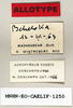 CollectionObject 1572642; 8876b04d-66c4-49ba-acc4-53dc6838e079: female, labels (allotype). (CollectionObject).