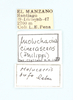 CollectionObject 1513235; e1f0d9d2-dfc2-4420-9654-ffe32a0296b7: male and female, labels. (CollectionObject).;CollectionObject 1513236; 5e089685-dfc0-4cb0-98fe-12f691bc3d47: male and female, labels. (CollectionObject).