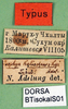 CollectionObject 1500646; 8065ee67-09d6-4d80-941d-71ffb7a7359b, DORSA BTisokalS01: labels (syntype). (CollectionObject).