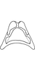 Connective on Anufrievia subdentata Yang & Zhang, 2018: Connective. (Observation).