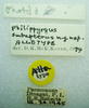 CollectionObject 1568970; 477d7038-1549-4bb3-abab-7635f938650f: labels (allotype). (CollectionObject).