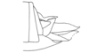 Cryptacris costaricensis Descamps & Rowell, 1984: Fig. 8. female abdomen tip, lateral view. (Otu).