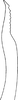 Stylus: !! display not done !! on Empoasca (Empoasca) kraemeri Ross & Moore, 1957: Stylus, lateral view. (Observation).