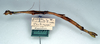 CollectionObject 1560915; 7bc1b81b-fe15-40ae-8562-9d2283aa5e07: copyright NMW. female, lateral view (syntype). (CollectionObject).;CollectionObject 1560916; b8f97275-b3f4-4847-9cda-4f8a5b4efe6b: copyright NMW. female, lateral view (syntype). (CollectionObject).