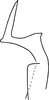 Stylus: Stylus (holotype). (Observation).