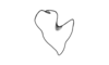 Chlorus vittatus Bruner, 1906: Fig. 5J. epiphallus, lateral view. (Otu).