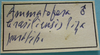CollectionObject 1597005; 302a7bf7-0d85-4ab8-a73e-052febaa942a: label (paratype of Hammatofera brasiliensis). (CollectionObject).