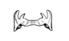 Intiacris nigroapiculatus Ronderos & Cigliano, 1989: Fig. 12. epiphallus, dorsal view. (Otu).