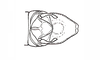 Baeacris talamancensis Rowell & Carbonell, 1977: Fig. 5. male abdomen tip, dorsal view. (Otu).