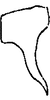 Anal tube processes: Anal tube (E. melianus). (Observation).