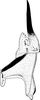 Stylus: Stylus. (Observation).