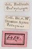 labels (syntype). Depicts CollectionObject 1565264; 71453a57-3e45-44d7-8bc4-b76fde6a8250, a CollectionObject.