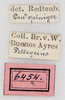 CollectionObject 1565264; 71453a57-3e45-44d7-8bc4-b76fde6a8250: labels (syntype). (CollectionObject).