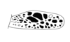 Lamiacris nigroguttata (Scudder, 1875): Fig. 142. tegmen (Tingo Maria). (Otu).