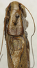 CollectionObject 1521791; be9bb65d-1fe3-4a66-be1a-e7520294fbb0: male pronotum, dorsal view (paratype). (CollectionObject).